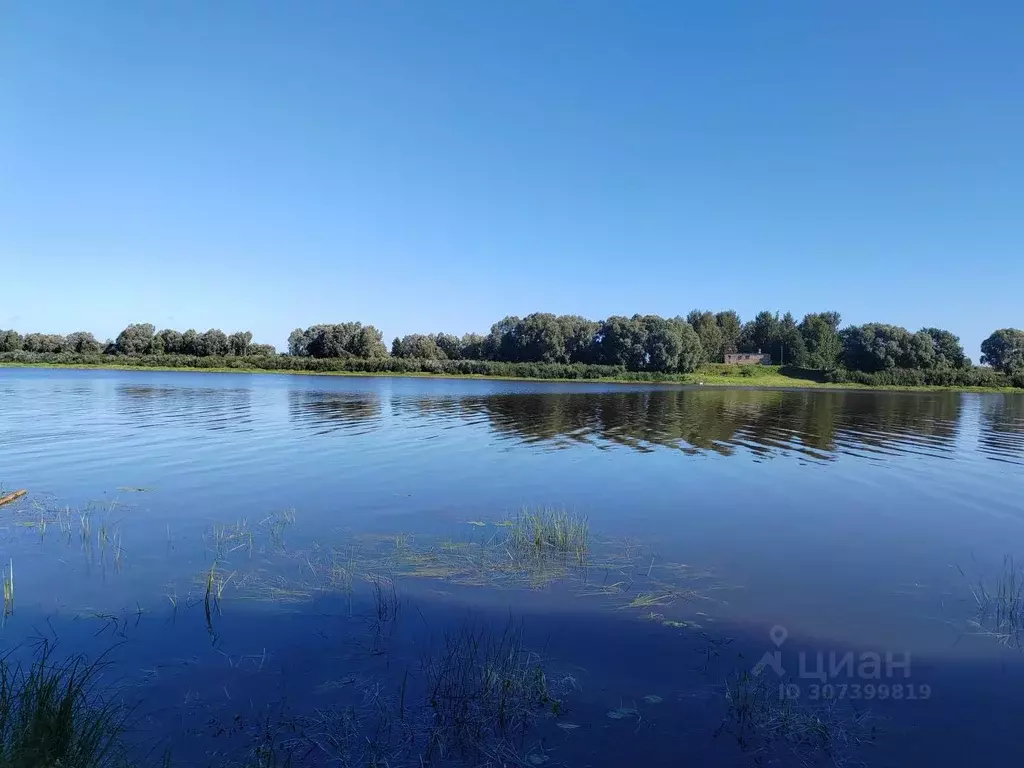 Участок в Новгородская область, Новгородский район, Бронницкое с/пос, ... - Фото 0