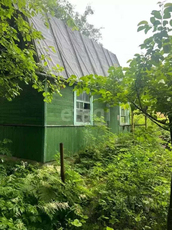 Участок в Приморский край, Надеждинский район, Подводник СНТ  (8.5 ... - Фото 0