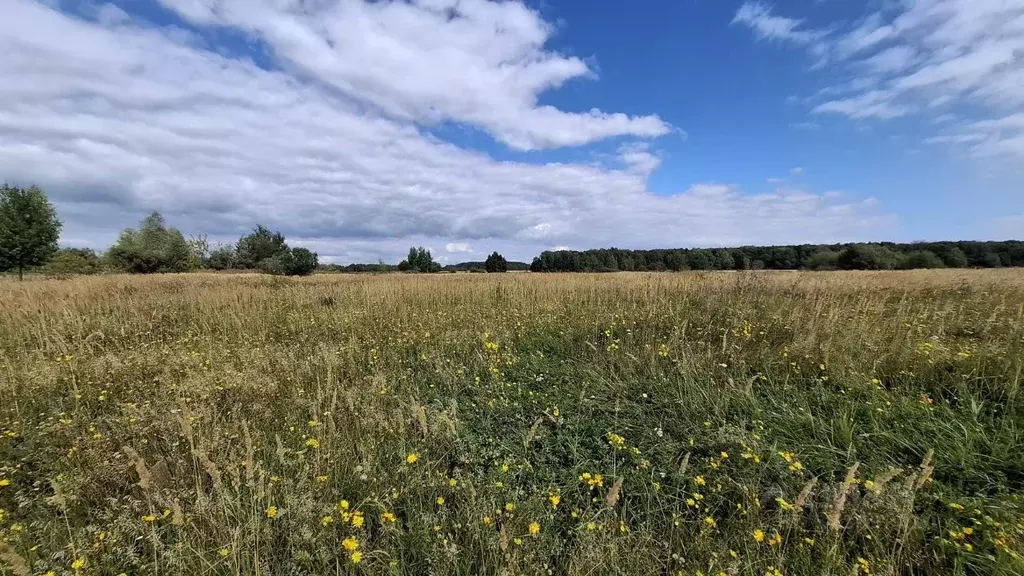 Участок в Московская область, Кашира городской округ, д. Яковское  ... - Фото 0