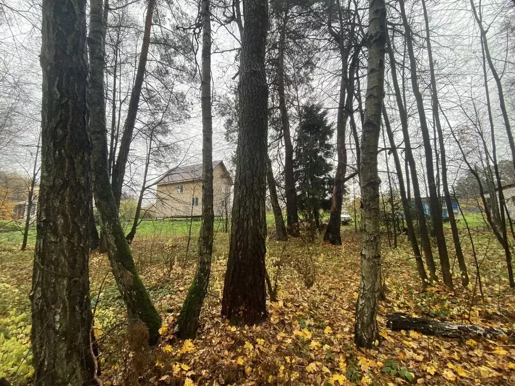 Участок в Московская область, Серпухов городской округ, д. ... - Фото 1