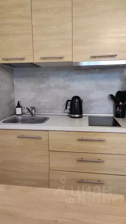Студия Санкт-Петербург ул. Адмирала Черокова, 20Б (25.0 м) - Фото 1