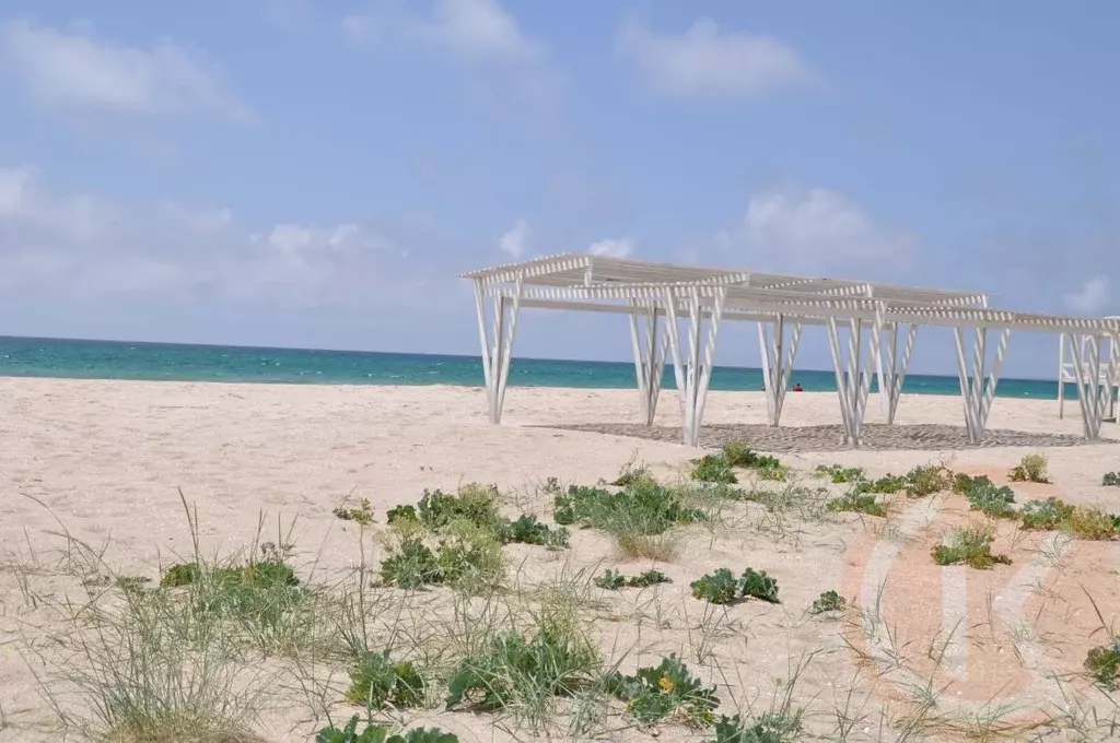 Участок в Крым, Черноморский район, Окуневское с/пос, с. Знаменское  ... - Фото 1