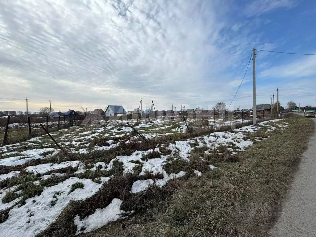 Участок в Новосибирская область, Колыванский район, д. Воробьево ... - Фото 2