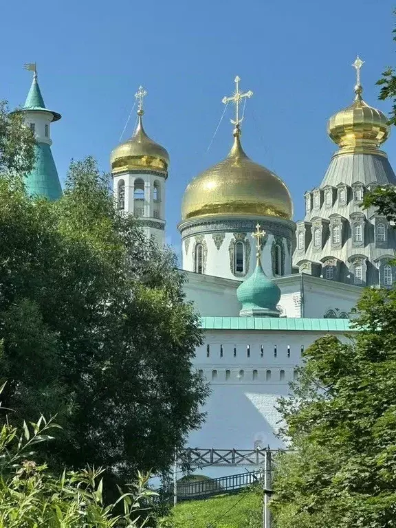 Участок в Московская область, Истра муниципальный округ, д. Никулино  ... - Фото 2