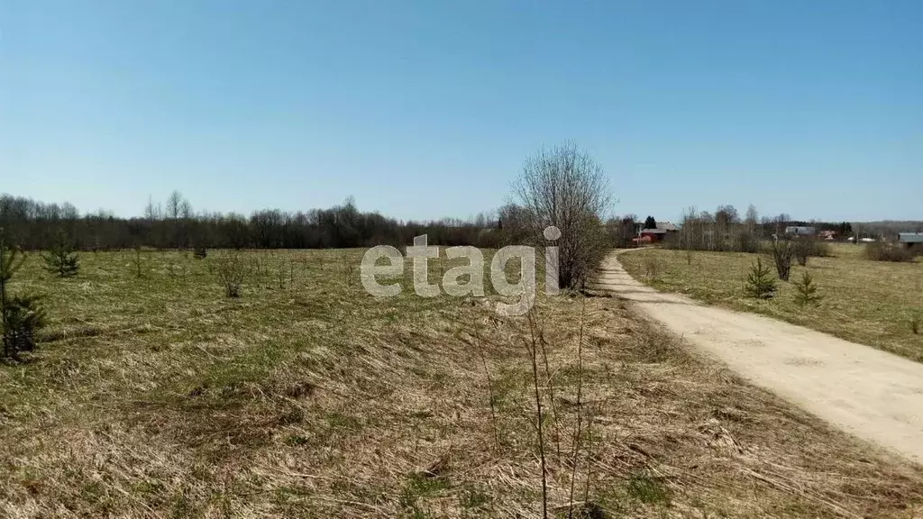 Участок в Вологодская область, Шекснинский муниципальный округ, д. ... - Фото 2