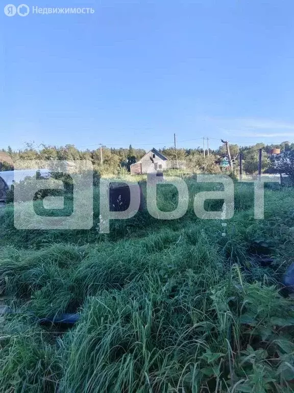 Дом в Костромской район, Караваевское сельское поселение, СНТ Сосновый ... - Фото 1