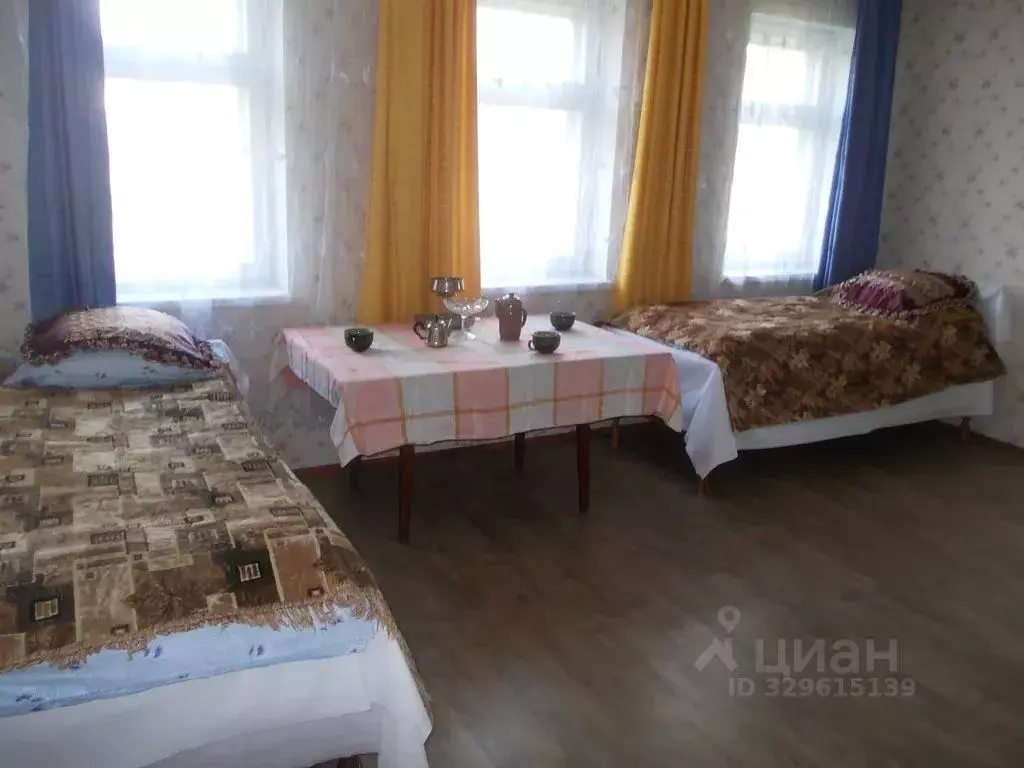Дом в Нижегородская область, с. Дивеево ул. Юбилейная, 35 (100 м) - Фото 1