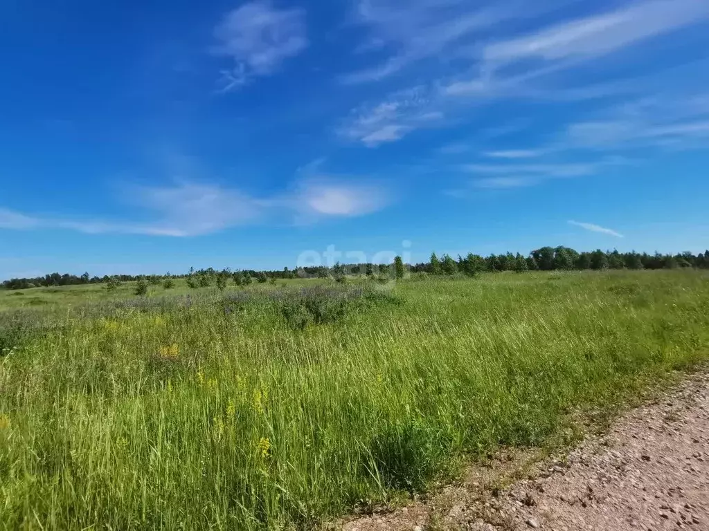 Участок в Смоленская область, Смоленский муниципальный округ, ... - Фото 0