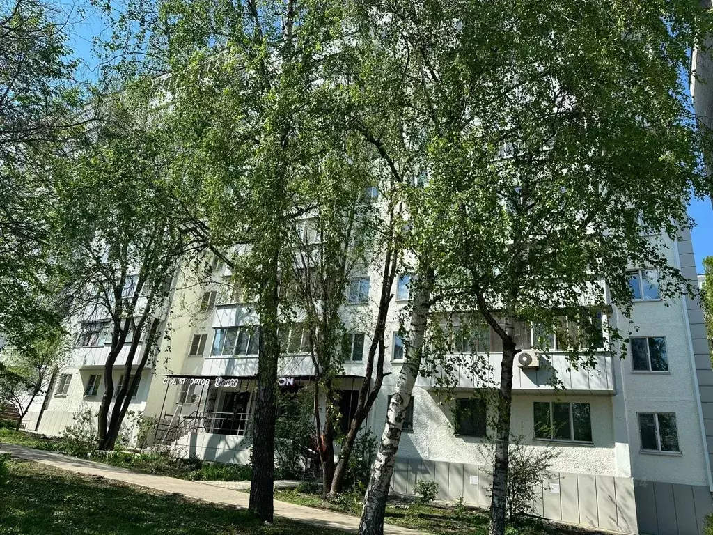 1-к кв. Липецкая область, Липецк Первомайская ул., 38 (32.0 м) - Фото 2
