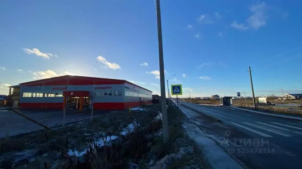 Торговая площадь в Новгородская область, Новгородский район, Савинское ... - Фото 2