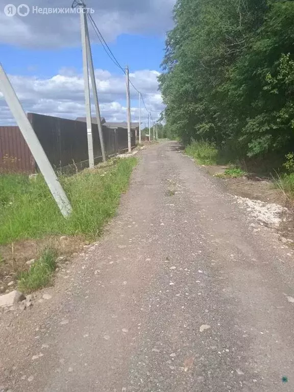 Участок в Волосовский район, Калитинское сельское поселение, деревня ... - Фото 1