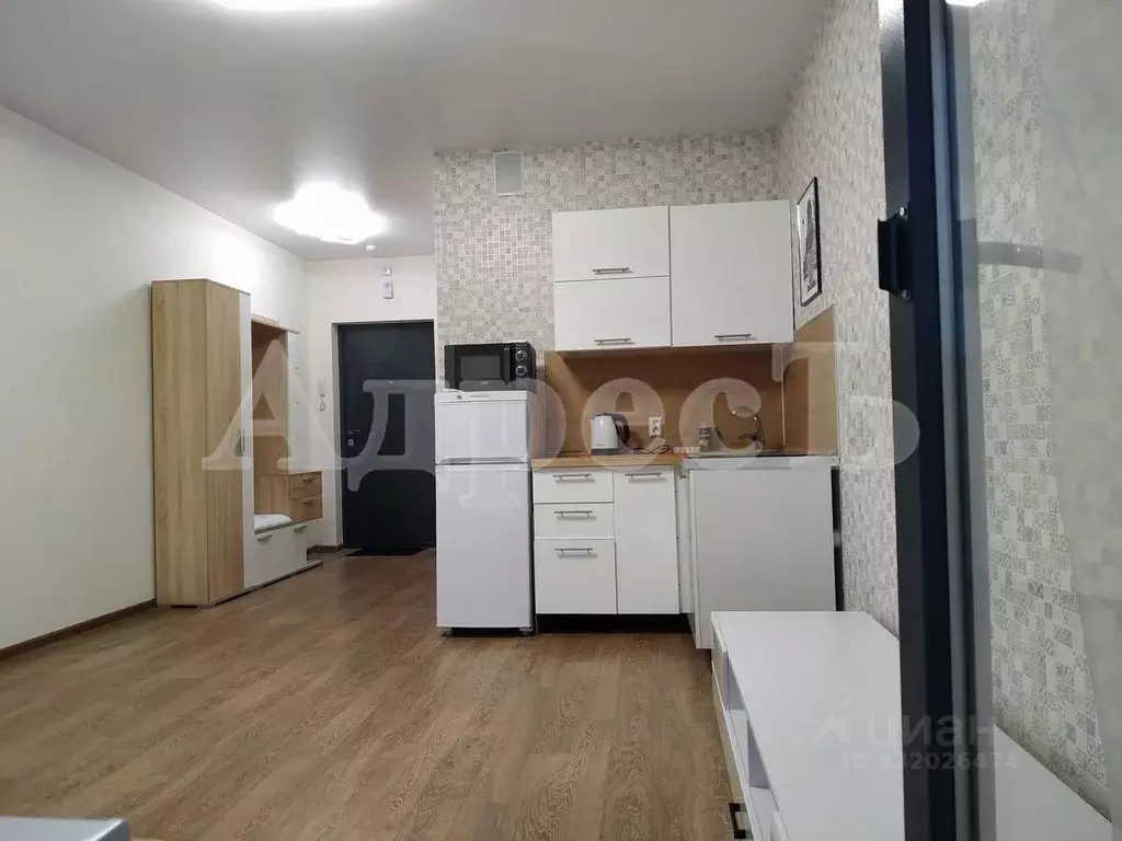 Студия Воронежская область, Воронеж ул. Загоровского, 1 (28.0 м) - Фото 1