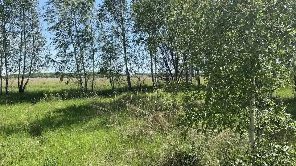 Участок в Московская область, Кашира Летняя ул. (11.96 сот.) - Фото 0