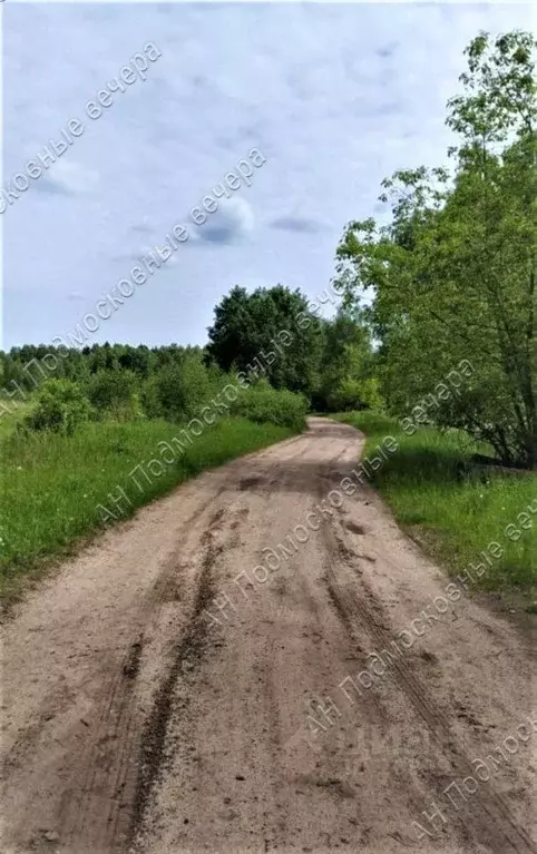 Купить Участок В Молзино Ногинский Район