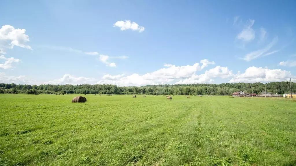 Участок в Томская область, Томский район, Журавли кп  (10.4 сот.) - Фото 2