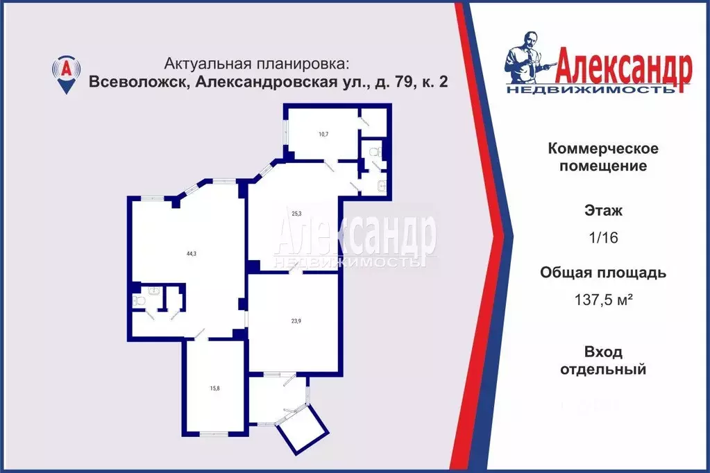 Торговая площадь в Ленинградская область, Всеволожск Александровская ... - Фото 1