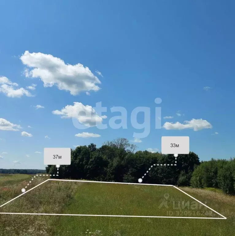 Участок в Брянская область, Брянский район, Чернетовское с/пос, д. ... - Фото 1