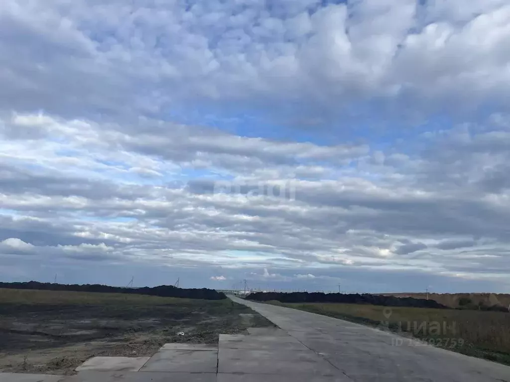 Участок в Тамбовская область, Тамбов городской округ, с. Бокино  ... - Фото 0