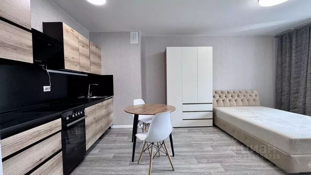 Студия Новосибирская область, Новосибирский район, Станционный ... - Фото 2