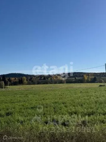Участок в Пермский край, Пермский муниципальный округ, Полюдовский ... - Фото 2