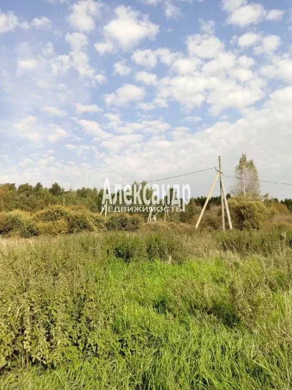 Участок в Ленинградская область, Приозерский район, Севастьяновское ... - Фото 0