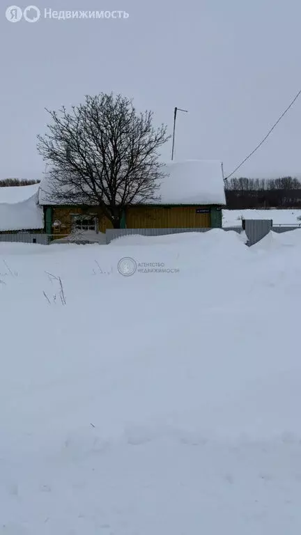 Дом в Арский район, Качелинское сельское поселение, село Качелино (22 ... - Фото 1