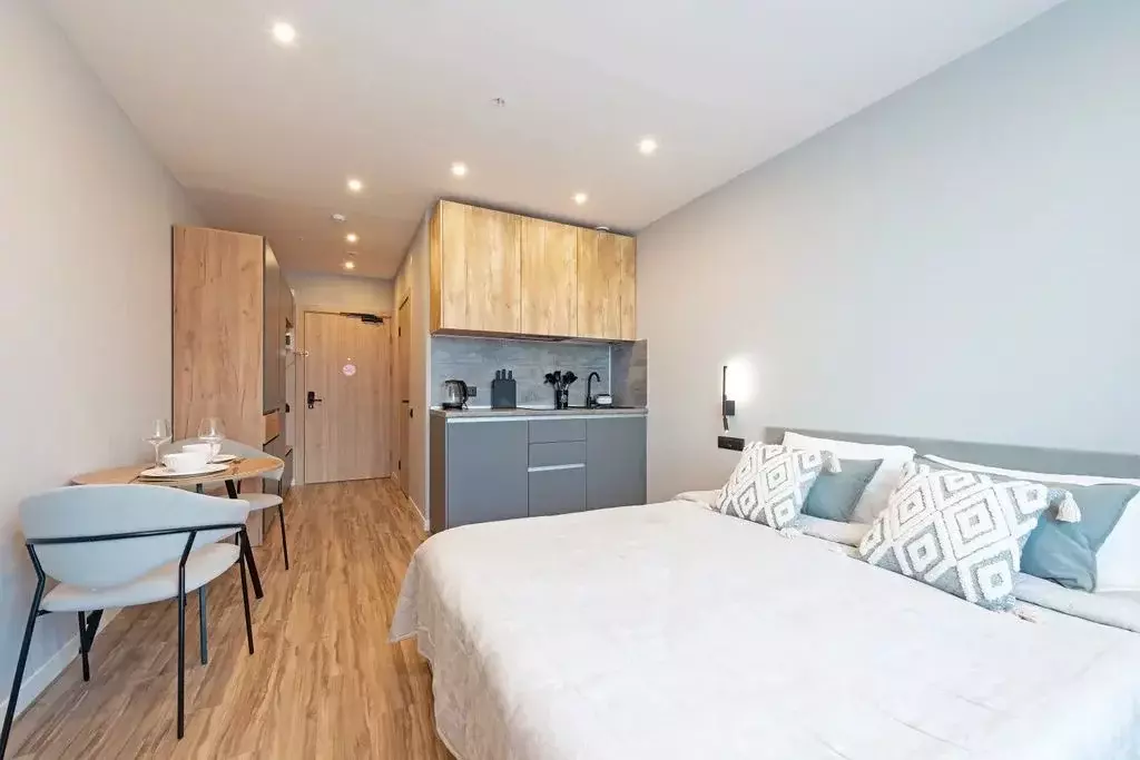 1-к кв. Санкт-Петербург просп. Энергетиков, 2к2 (25.0 м) - Фото 1