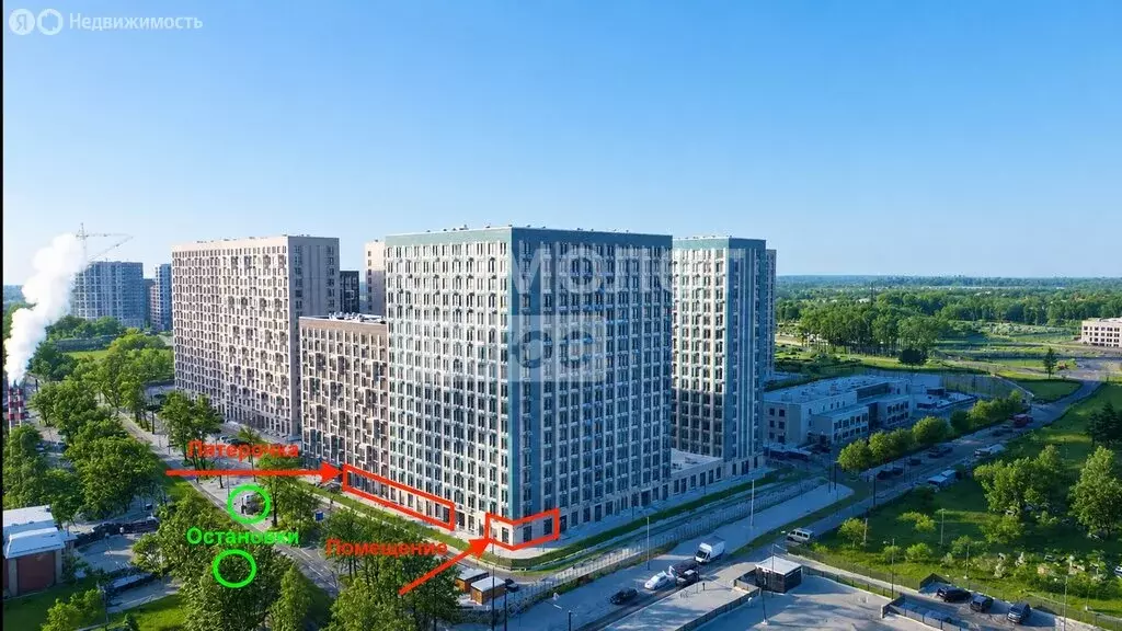 Помещение свободного назначения (55.5 м) - Фото 1