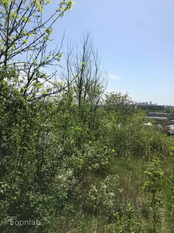 Участок в Ставропольский край, Ставрополь Кавказ садовое товарищество, ... - Фото 2