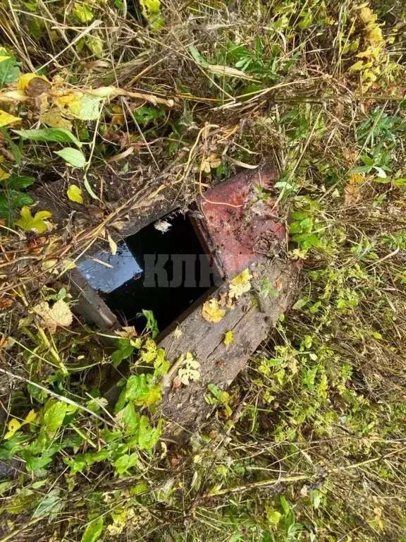 Участок в Вологодская область, Сокольский муниципальный округ, ... - Фото 1