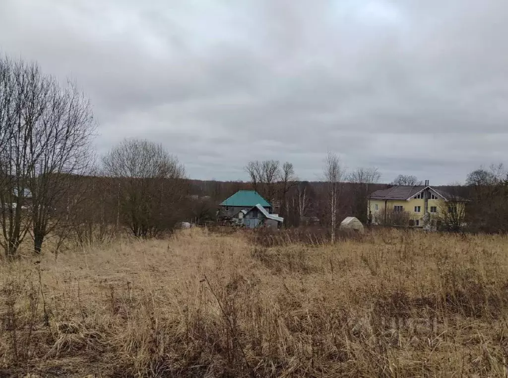 Участок в Московская область, Чехов муниципальный округ, д. Хлевино 48 ... - Фото 0
