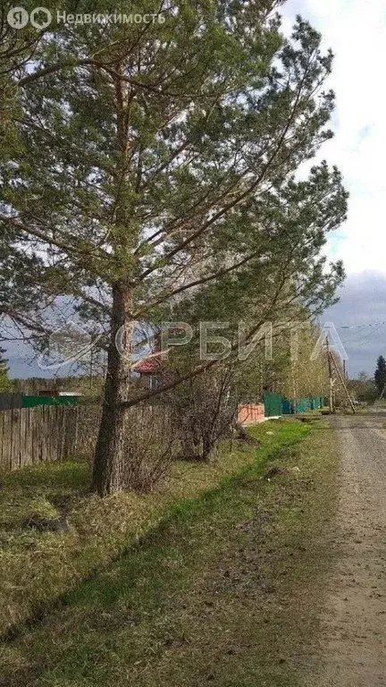 Участок в Тюменский район, деревня Речкина, Дачная улица, 9 (23.8 м) - Фото 0