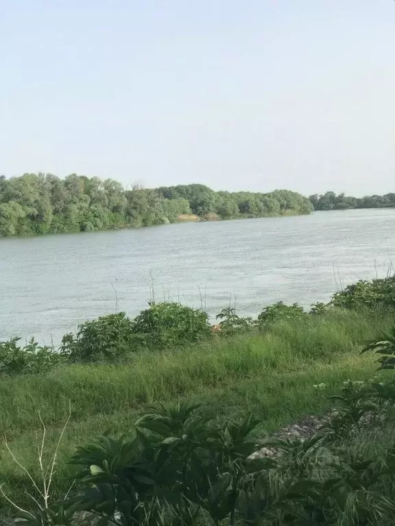 Участок в Адыгея, Тахтамукайский район, Афипсипское с/пос, Хаштук аул ... - Фото 1