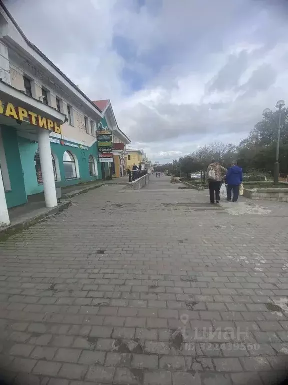 Торговая площадь в Московская область, Дмитров Загорская ул., 34А (150 ... - Фото 2