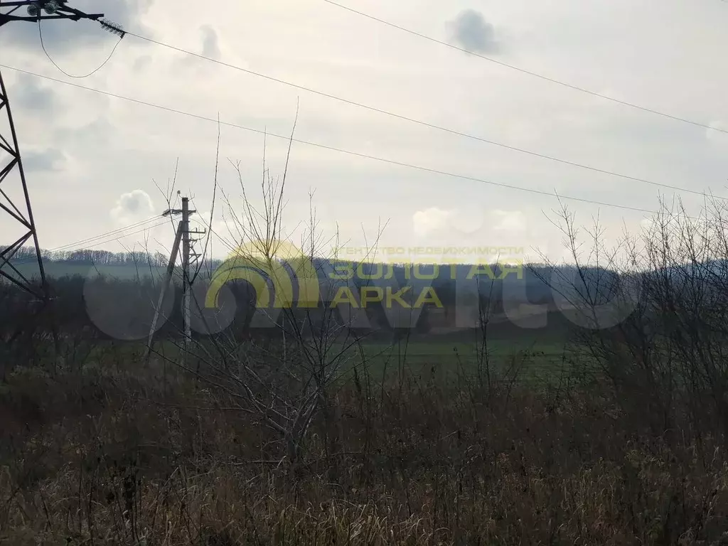 Участок 3,47 га (СНТ, ДНП) - Фото 1
