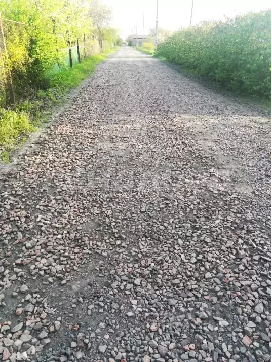 Участок в Ростовская область, Октябрьский район, Персиановское с/пос, ... - Фото 2