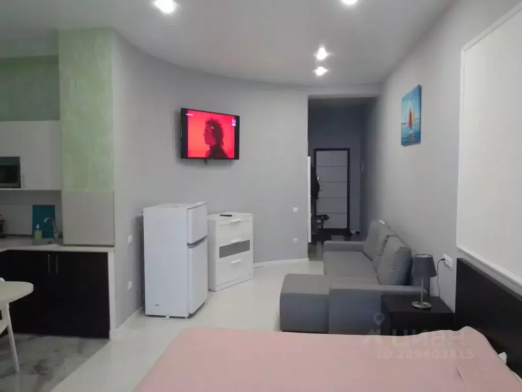 Студия Ставропольский край, Кисловодск ул. Горького, 1 (35.0 м) - Фото 2