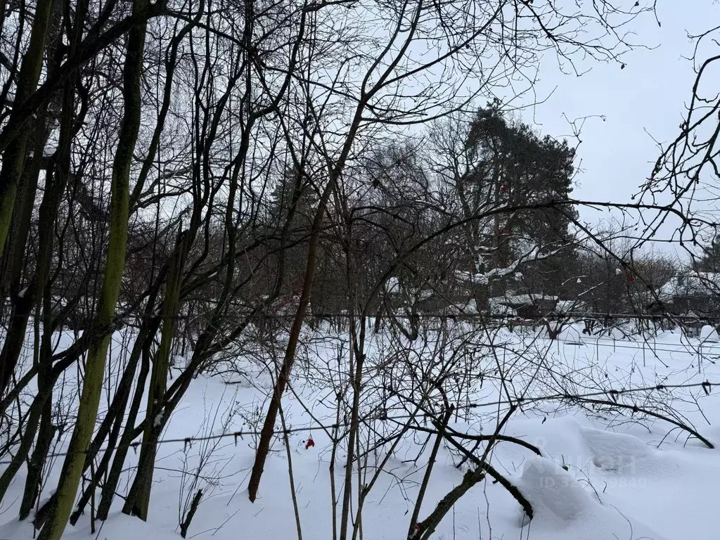 Участок в Московская область, Щелково городской округ, Загорянский пгт ... - Фото 2