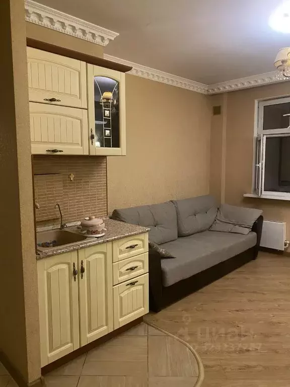 1-к кв. Московская область, Люберцы Красная Горка мкр, просп. ... - Фото 2