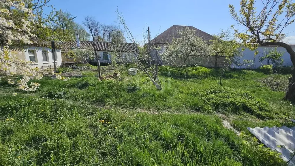 Участок в Крым, Белогорск ул. Щелкина (5.0 сот.) - Фото 0