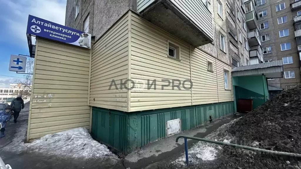 Помещение свободного назначения в Алтайский край, Барнаул ул. Гущина, ... - Фото 2