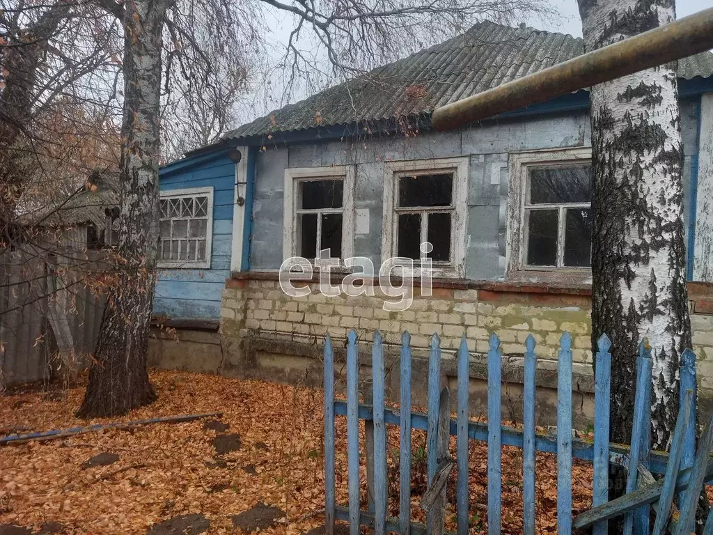 Дом в Белгородская область, Корочанский район, Новослободское с/пос, ... - Фото 0
