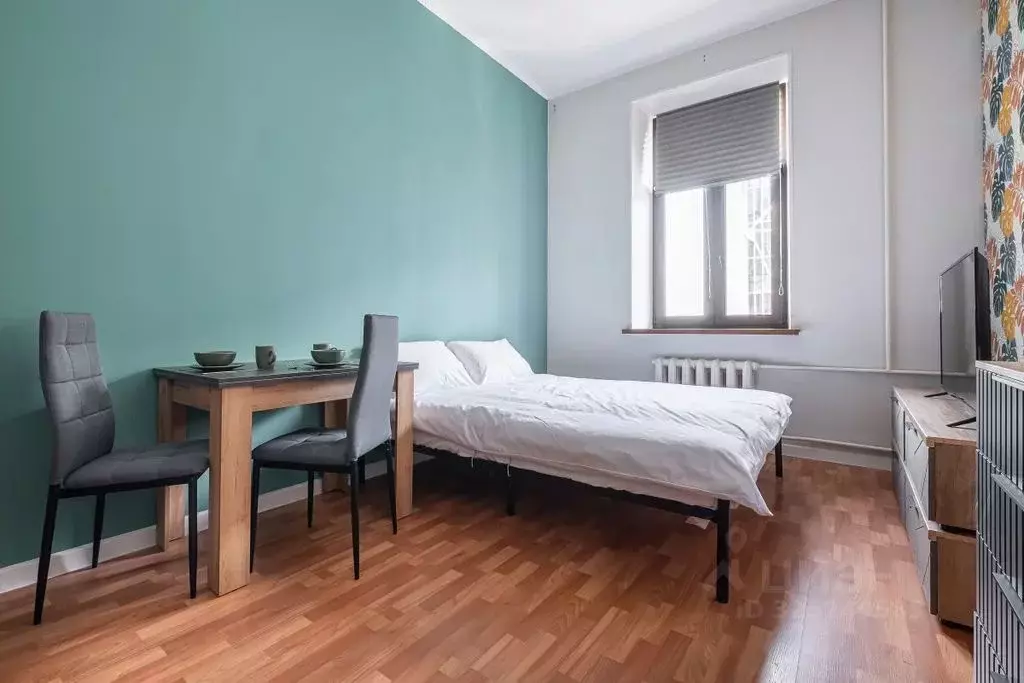 Студия Санкт-Петербург ул. Ефимова, 1/4 (20.0 м) - Фото 2