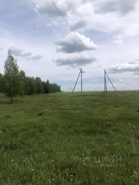 Участок в Тульская область, Щекинский район, Яснополянское с/пос, с. ... - Фото 2