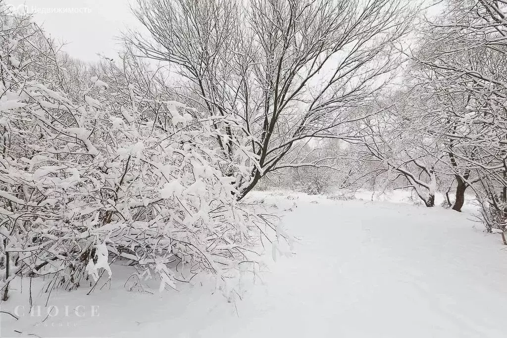 Участок в деревня Чесноково, КП Ренессанс парк (22.63 м) - Фото 1
