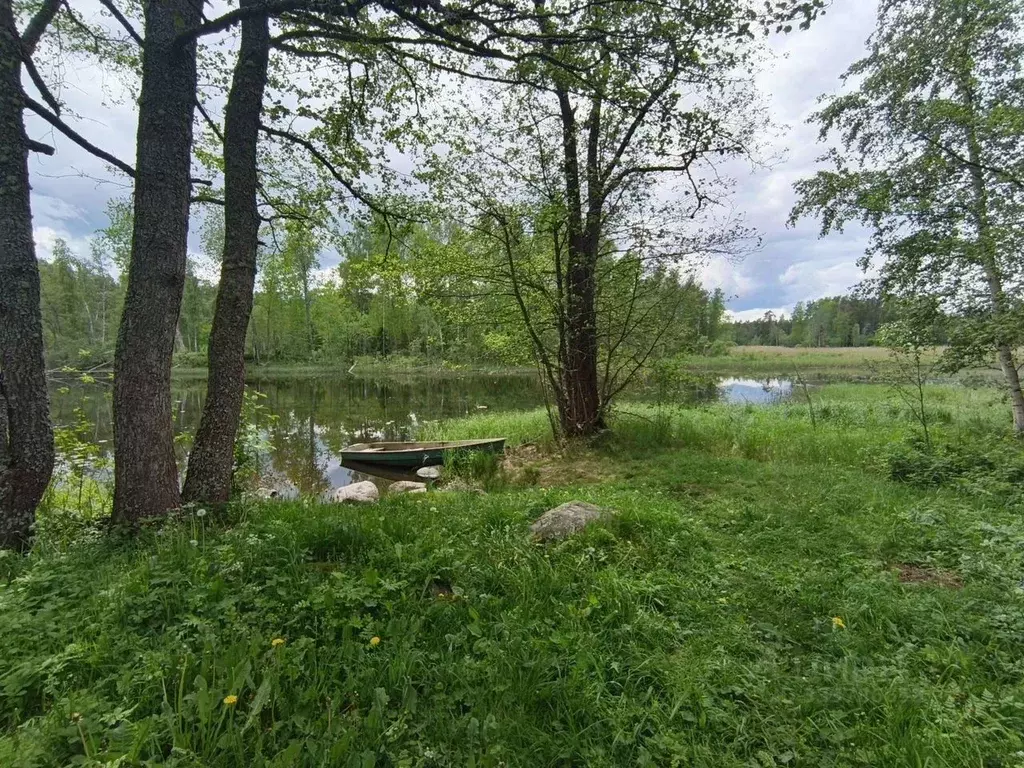 Участок в Ленинградская область, Приозерский район, Мельниковское ... - Фото 2