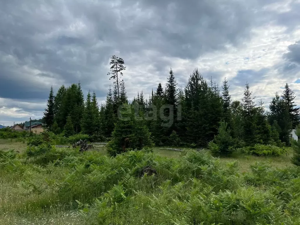 Участок в Алтай, Турочакский район, с. Турочак Зеленая ул. (10.0 сот.) - Фото 2
