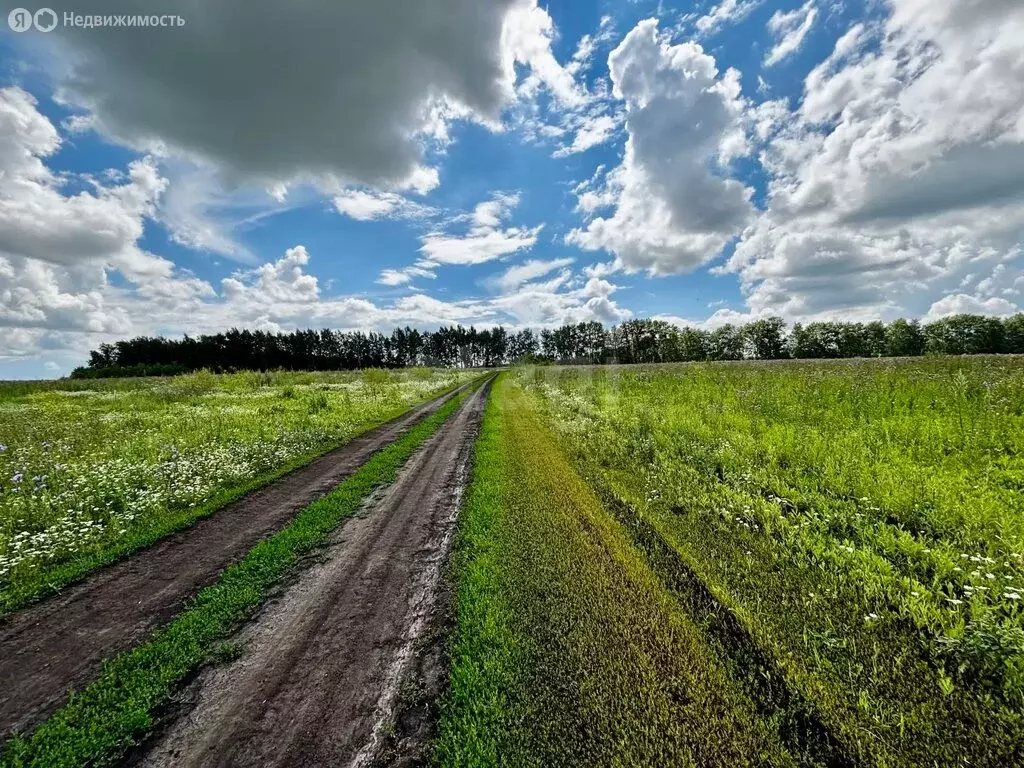 Участок в Республика Мордовия, городской округ Саранск, посёлок ... - Фото 2