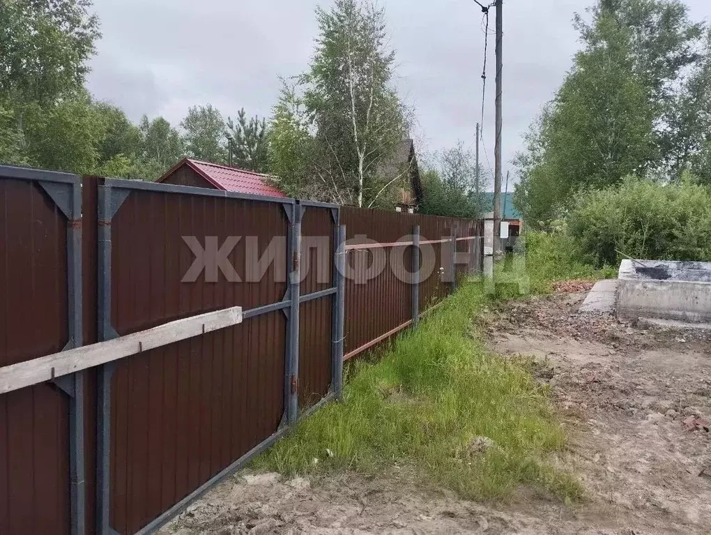 Участок в Новосибирская область, Колыванский район, Пищевик садовое ... - Фото 2