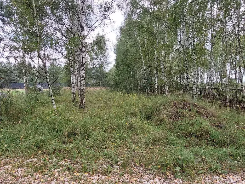 Участок в Московская область, Богородский городской округ, Зорька СНТ ... - Фото 1